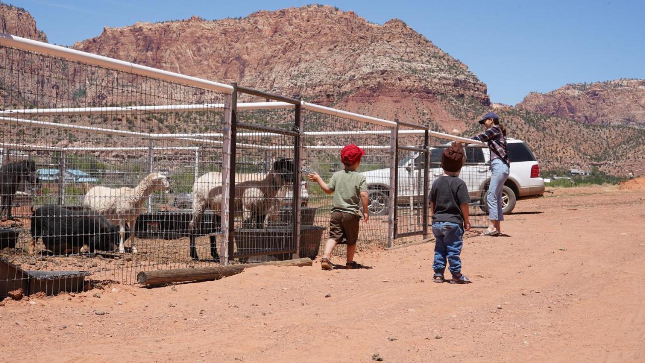 Zion View Camping Hildale Bagian luar foto